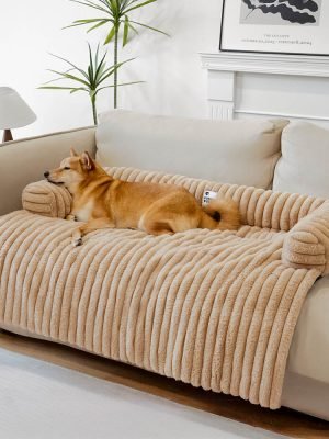 import placeholder for 15097601