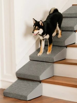 import placeholder for 15097603