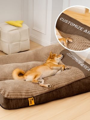 import placeholder for 15097595