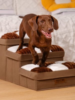 import placeholder for 15097610