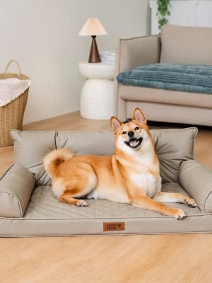 import placeholder for 15097600