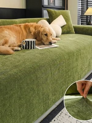 import placeholder for 15097575