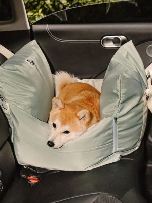 import placeholder for 15097581