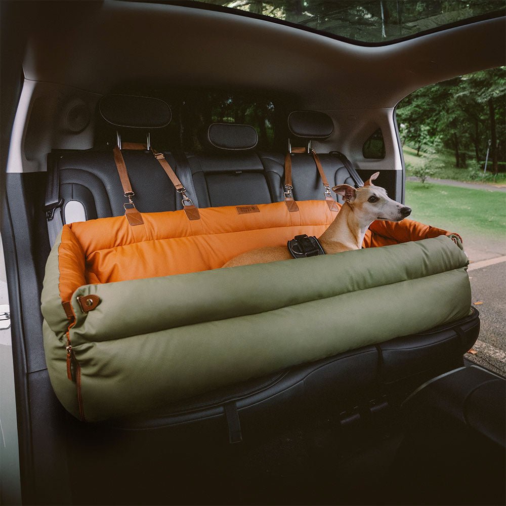 import placeholder for 15097573 import placeholder for 15097573