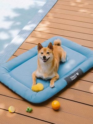 import placeholder for 15097577