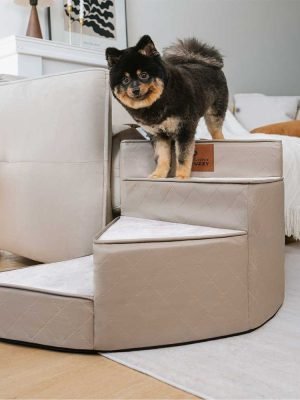 import placeholder for 15097582