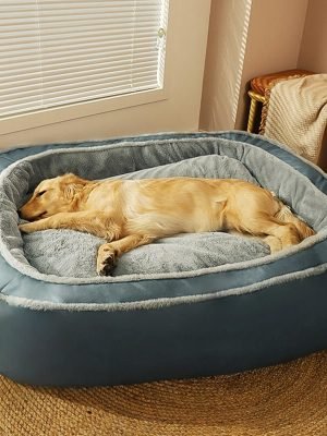 import placeholder for 15097587